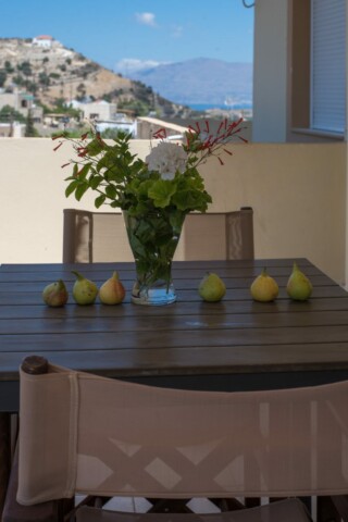 Irini Kamilari apartments, the terrace of room 2